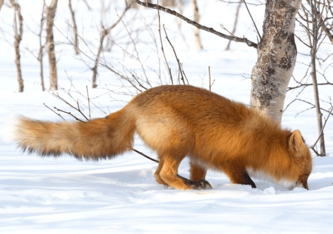 Решение рисунок 4