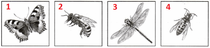 Решение рисунок 1