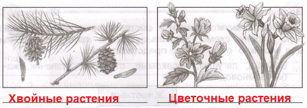 Решение рисунок 2