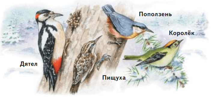 Задание рисунок 1