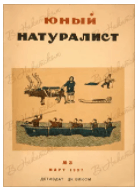 Решение рисунок 1
