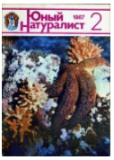 Решение рисунок 2