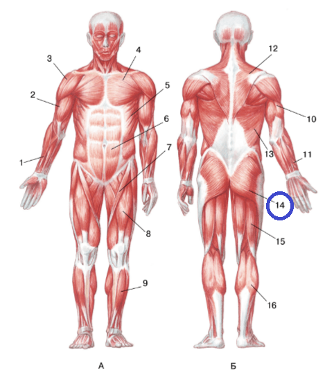 Решение рисунок 1