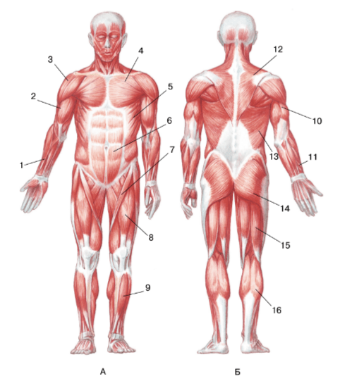 Задание рисунок 1