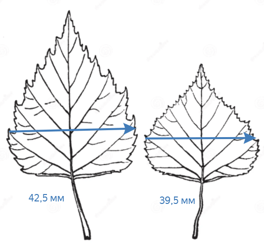 Решение рисунок 1