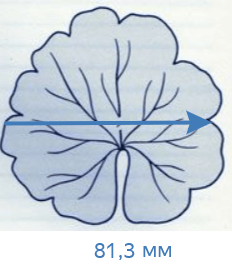 Решение рисунок 2