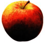 Задание рисунок 4